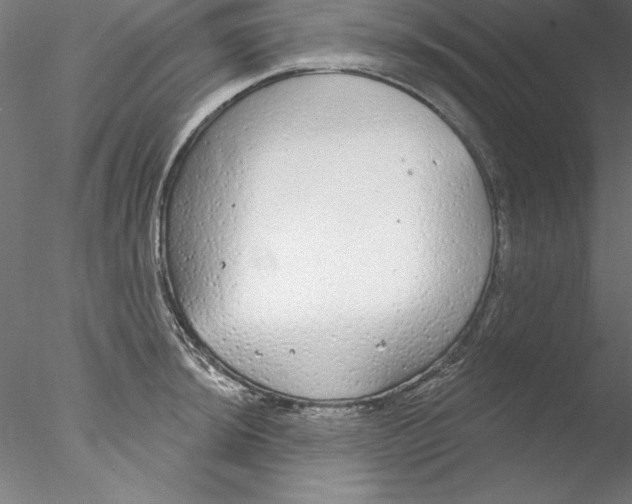 X0000076421044200611031808