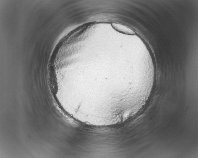 X0000076421045200611031808