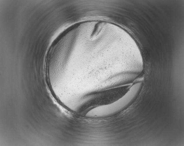 X0000076421046200611031808