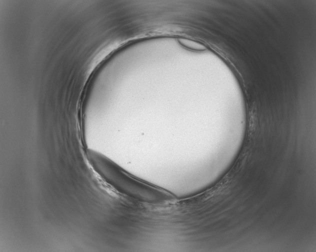 X0000076421047200611031808