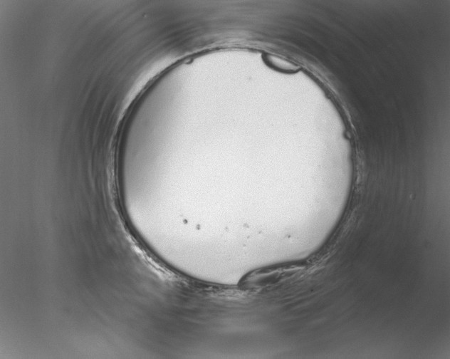 X0000076421048200611031808