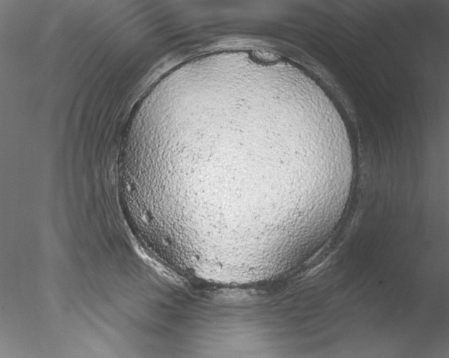 X0000076421049200611031808