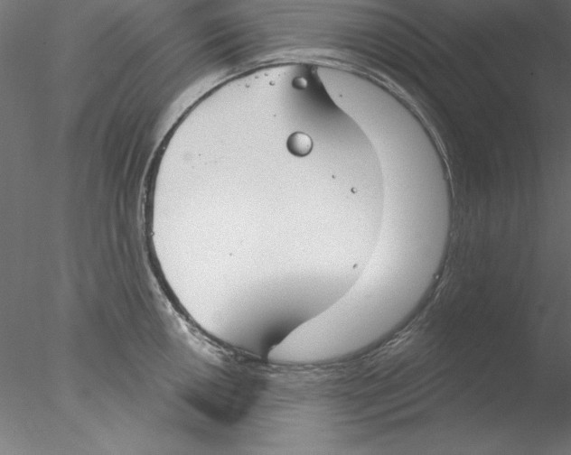 X0000076421050200611031808