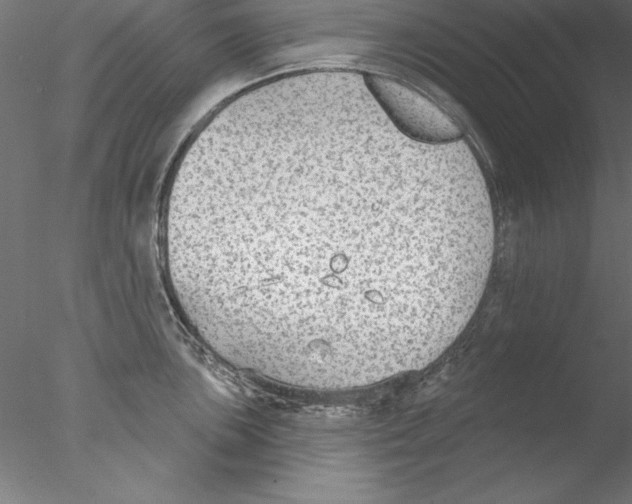 X0000076421051200611031808