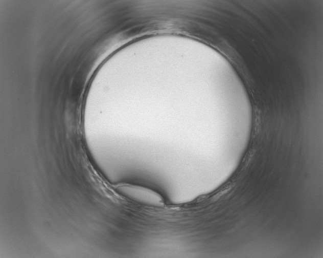 X0000076421052200611031808