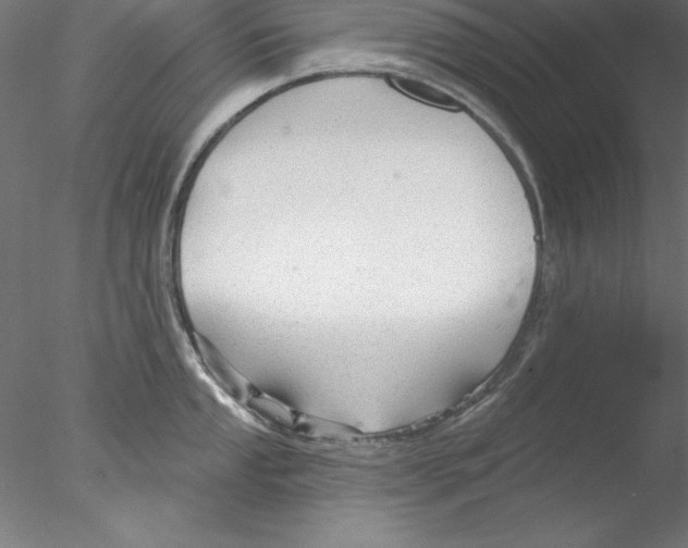 X0000076421053200611031808