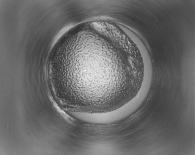 X0000076421054200611031808