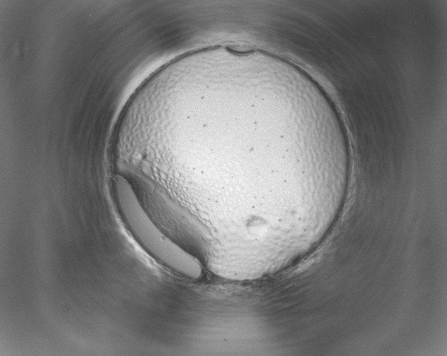 X0000076421056200611031808