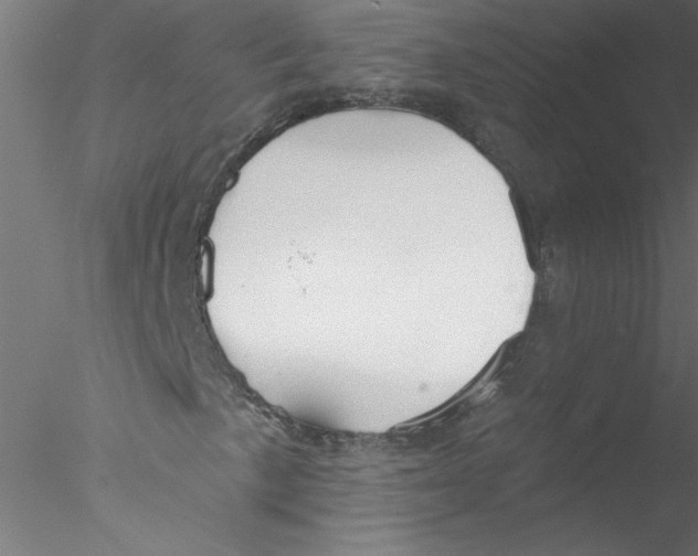 X0000076421057200611031808