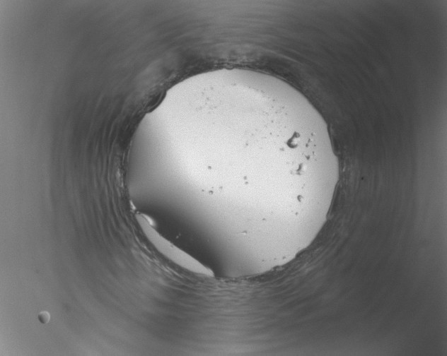 X0000076421058200611031808