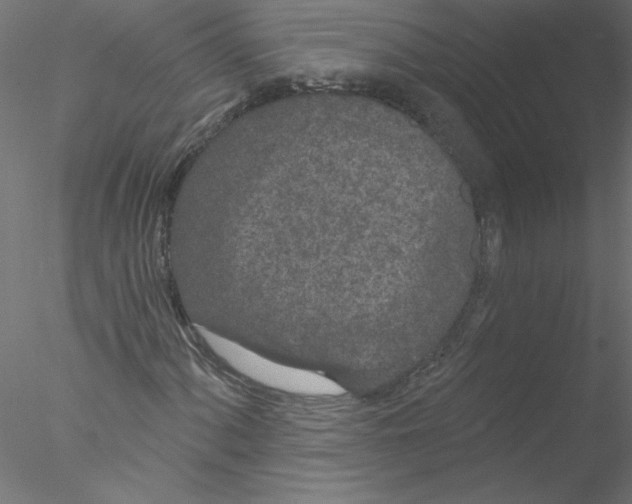 X0000076421060200611031808