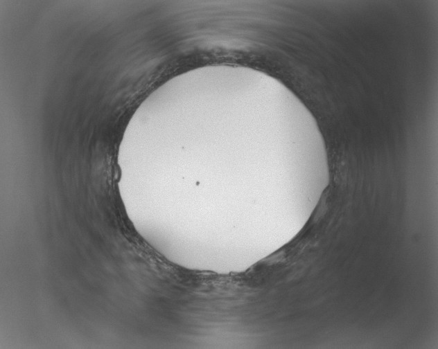 X0000076421061200611031808