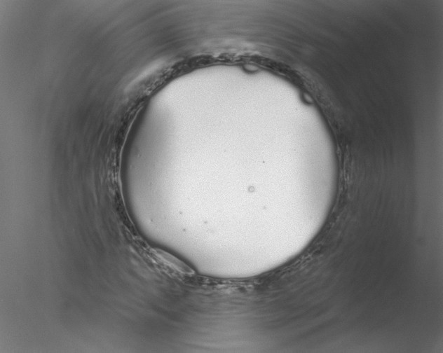 X0000076421063200611031807