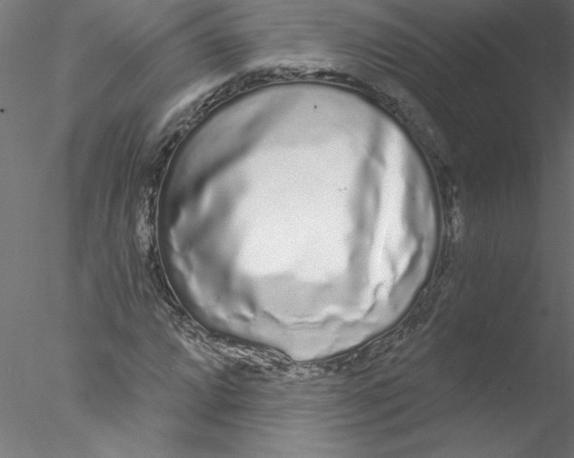 X0000076421064200611031807