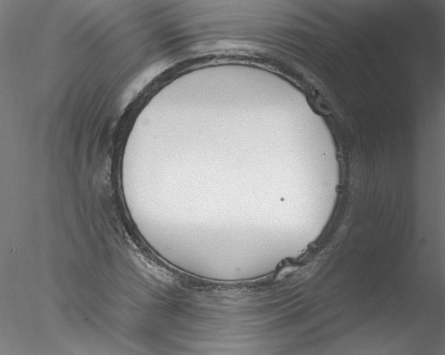 X0000076421066200611031807