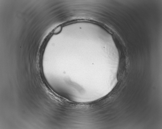 X0000076421068200611031807