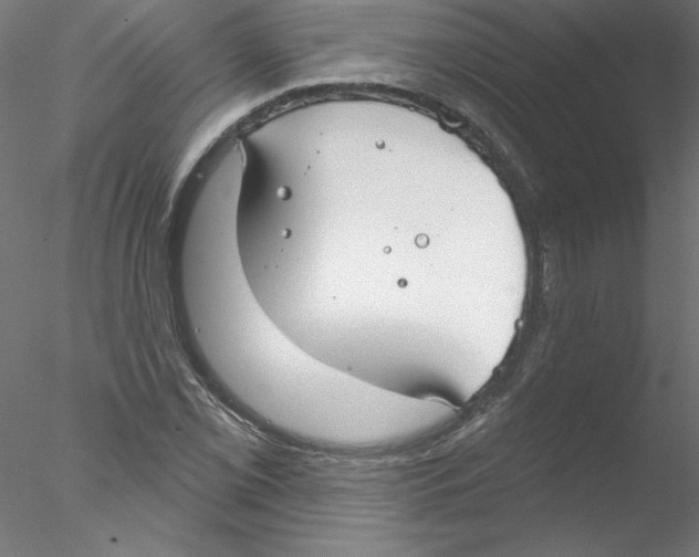 X0000076421069200611031807