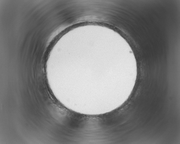 X0000076421070200611031807