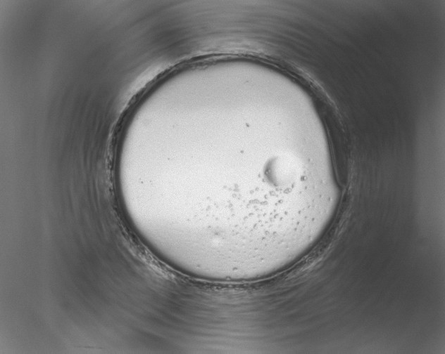 X0000076421071200611031807