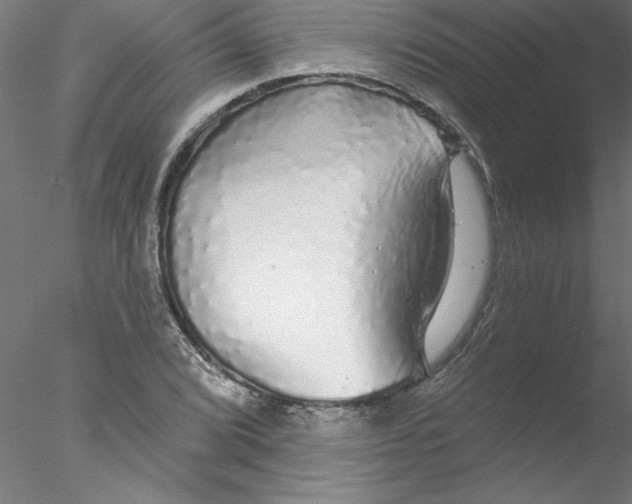 X0000076421072200611031807