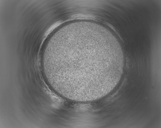 X0000076421074200611031807