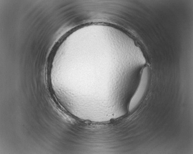 X0000076421076200611031807