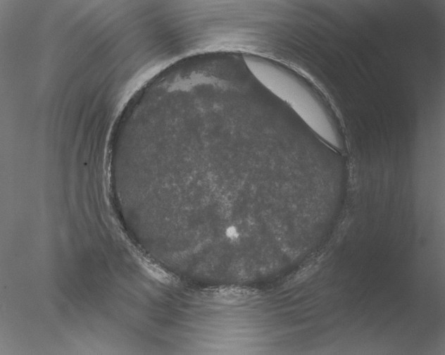 X0000076421077200611031807