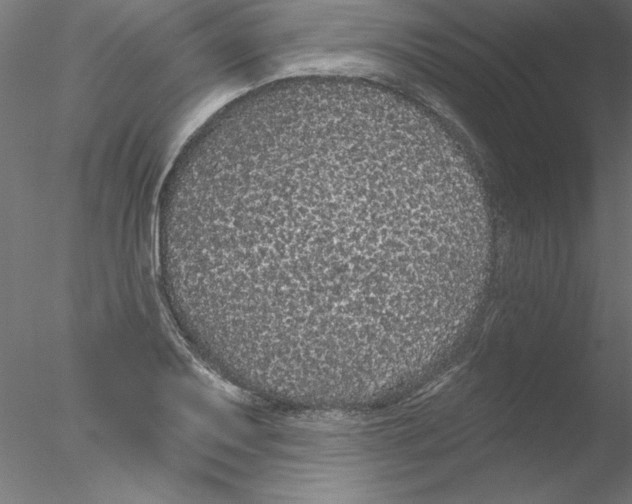 X0000076421079200611031807