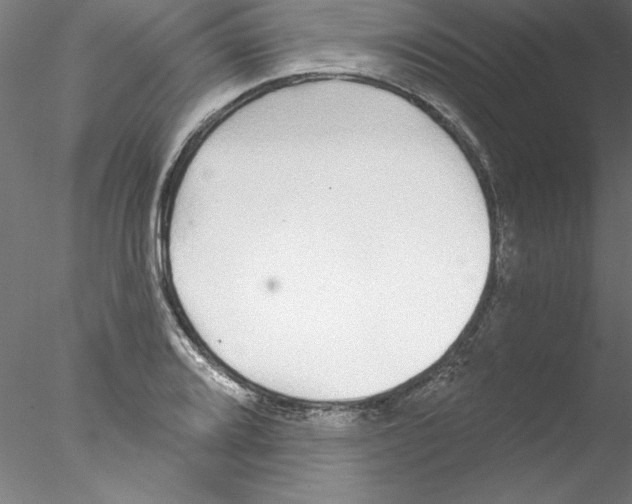 X0000076421080200611031807