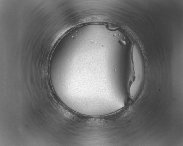 X0000076421081200611031807