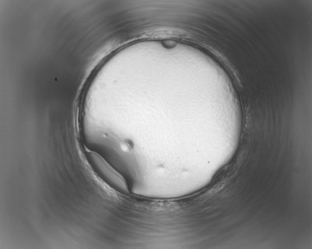 X0000076421083200611031807