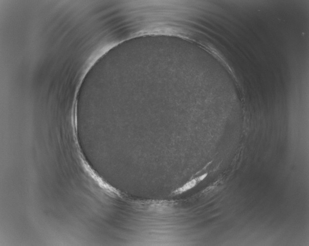 X0000076421084200611031807