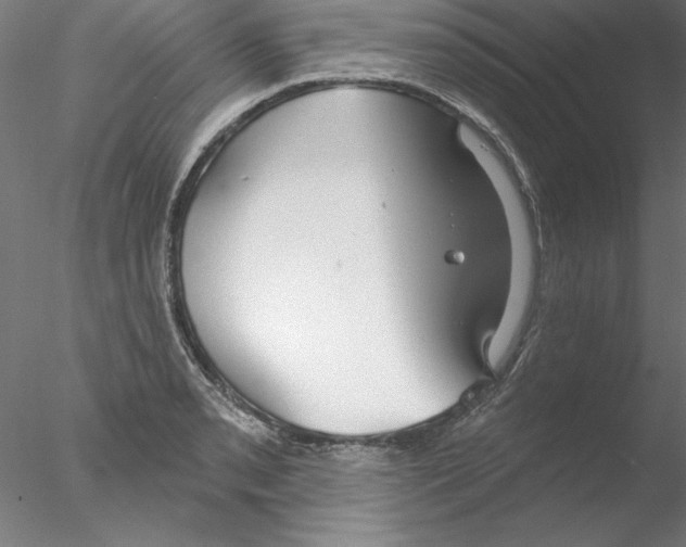 X0000076421085200611031807