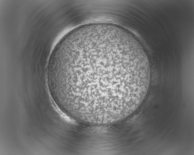 X0000076421086200611031807