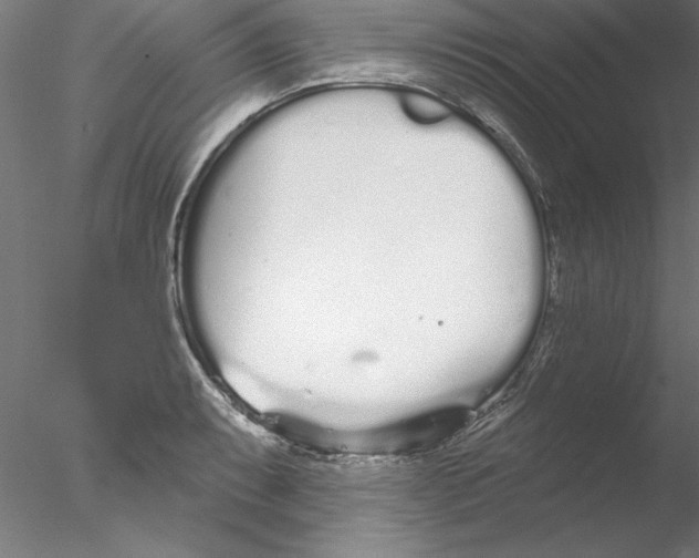 X0000076421087200611031807