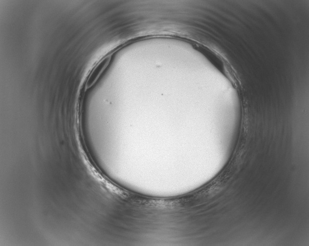 X0000076421088200611031807