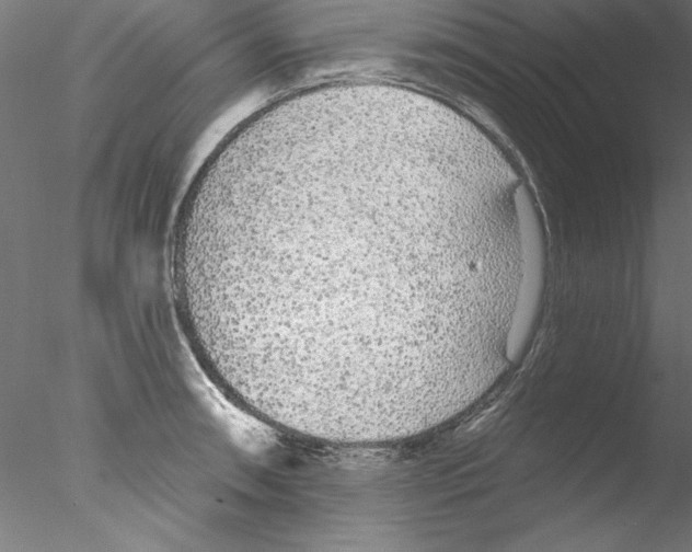 X0000076421090200611031807