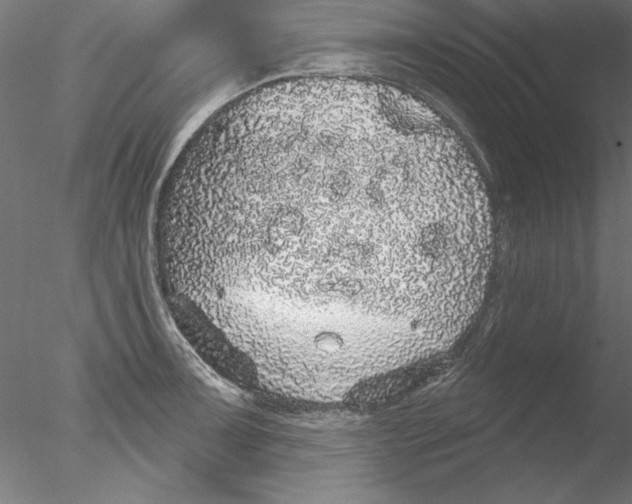 X0000076421091200611031807