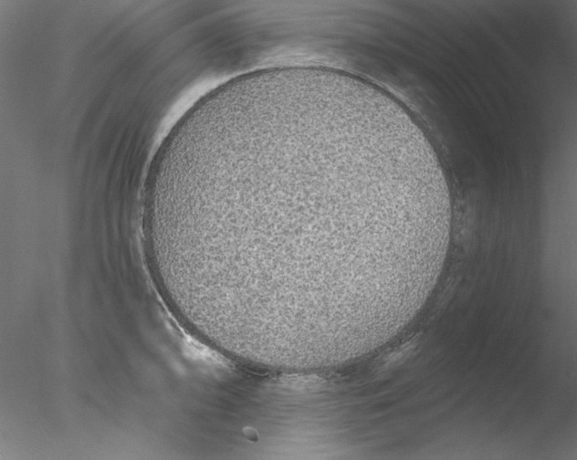 X0000076421094200611031807