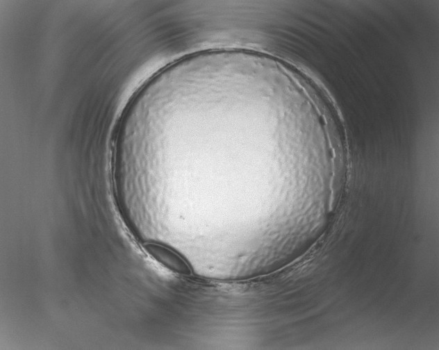 X0000076421096200611031807