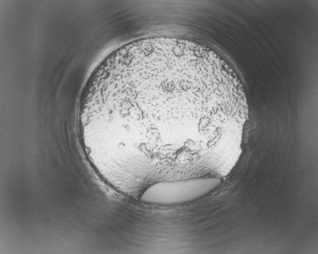 X0000076421099200611031807