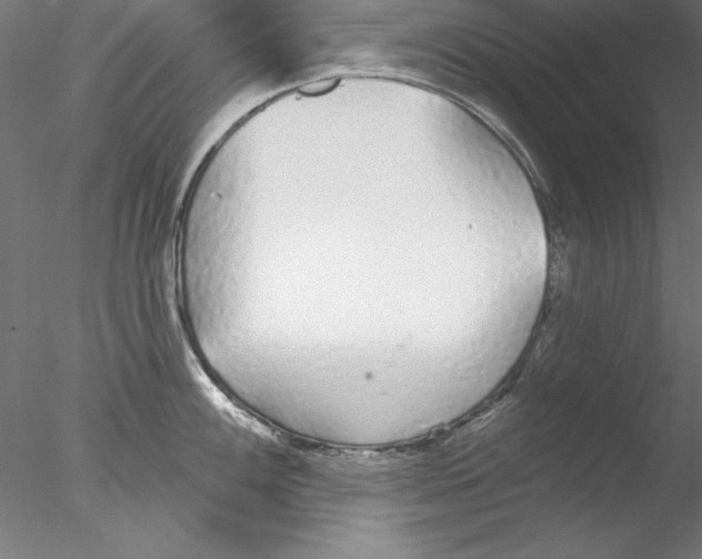 X0000076421100200611031807