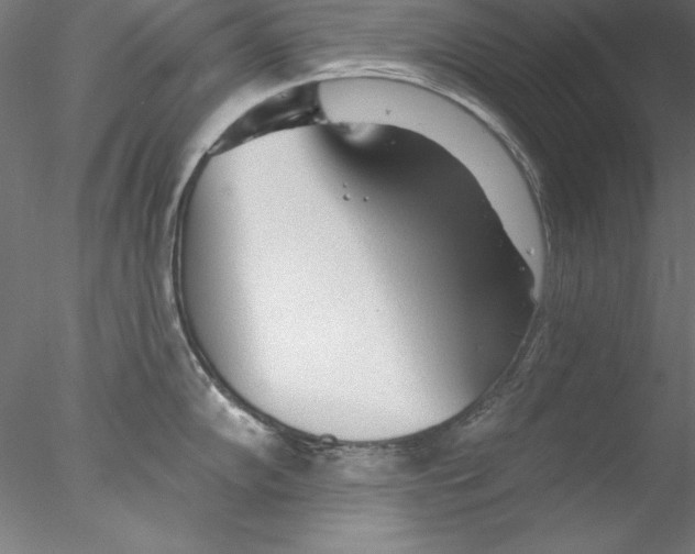 X0000076421102200611031807