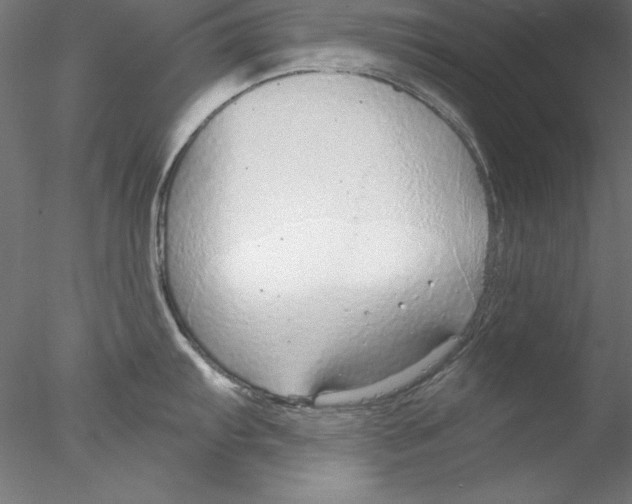 X0000076421103200611031807