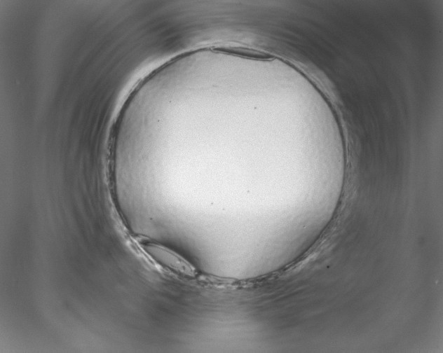 X0000076421104200611031807