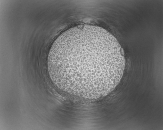 X0000076421105200611031806