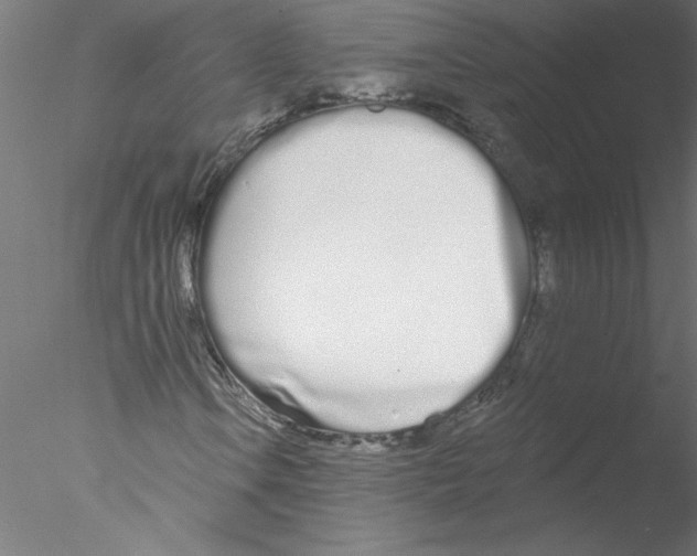 X0000076421106200611031806