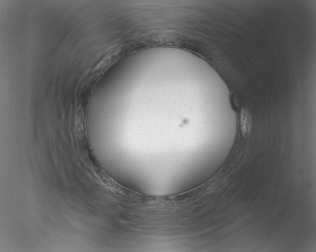 X0000076421107200611031806