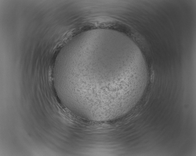 X0000076421108200611031806