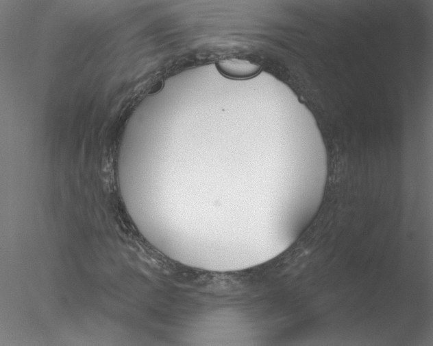 X0000076421109200611031806